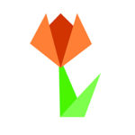 Оригами цветы из бумаги своими руками